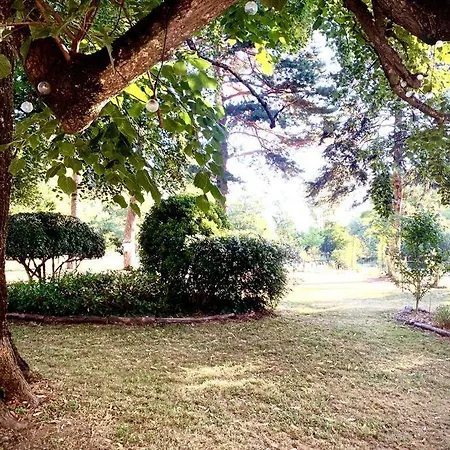 Villa Sous Le Tilleul De La Condomine *