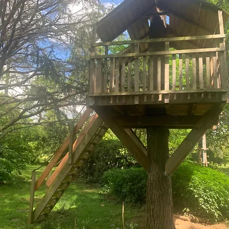 Sous Le Tilleul De La Condomine