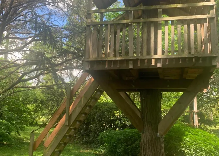 Sous Le Tilleul De La Condomine